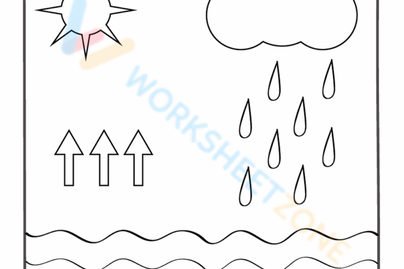 Free Water Cycle Worksheets For Kindergarten