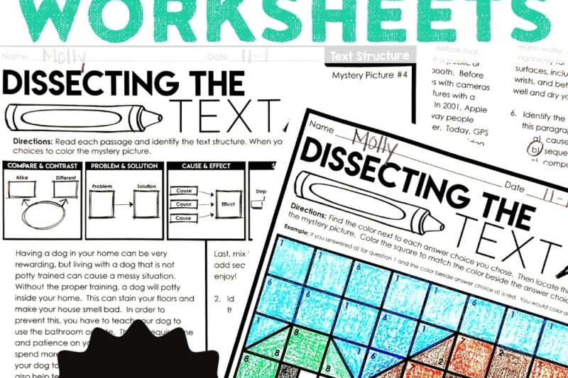 Fun Reading Comprehension Worksheets Free