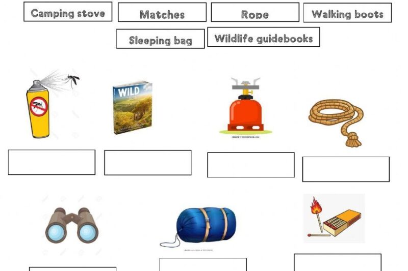 Free Printable Survival Activity Worksheet