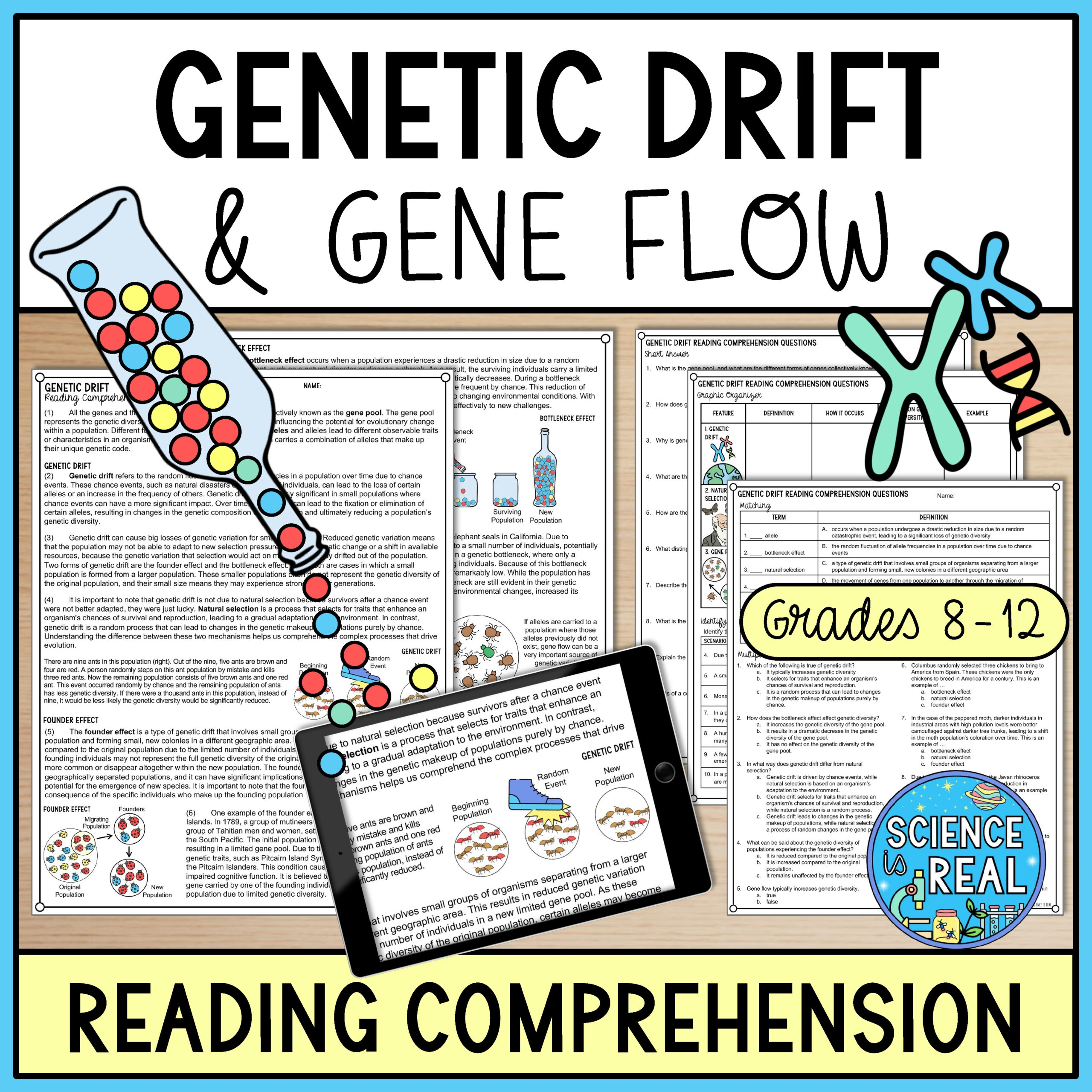 Genetic Drift Reading Comprehension And Worksheets Classful Genetic Drift Reading Comprehension And Worksheets Classful