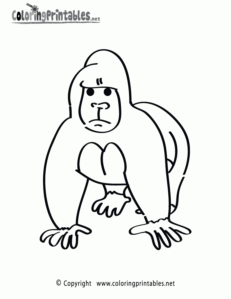 Gorilla Coloring Page A Free Animal Coloring Printable