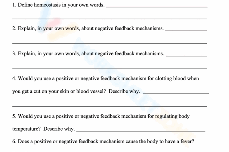 Homeostasis Reading Comprehension Worksheet