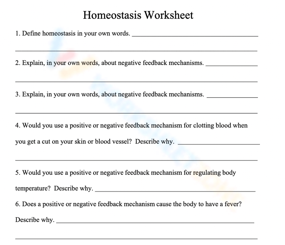 Grade 12 Homeostasis Worksheets 2025