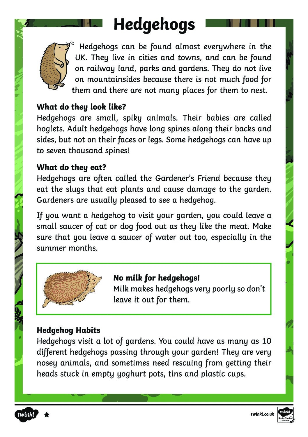 Hedgehogs Differentiated Reading Comprehension Activity St Cyprian s Greek Orthodox Primary Academy