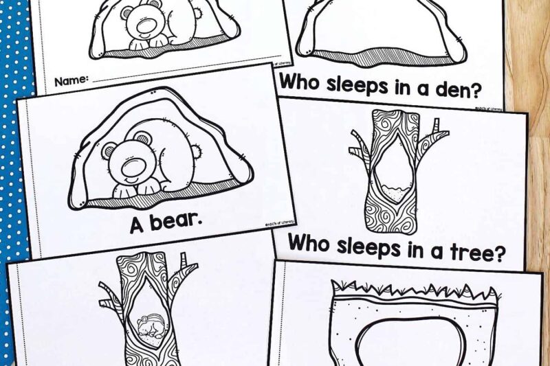 Printable Hibernation Worksheet For Preschool