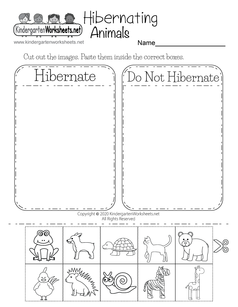 Hibernating Animals Worksheet Free Printable Digital U0026 PDF