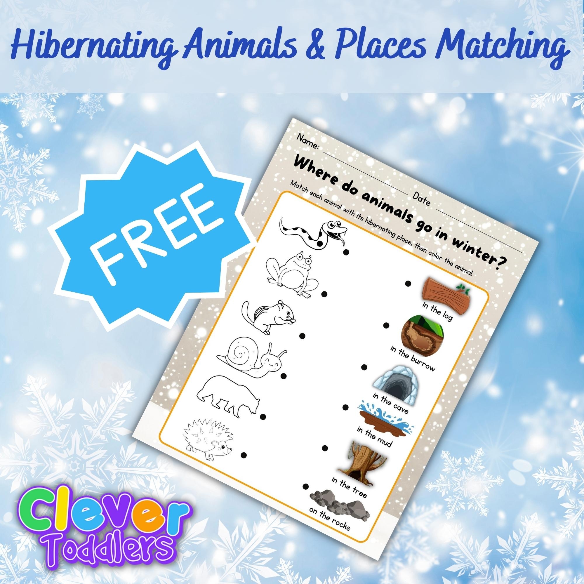 Hibernation Matching Hibernating Animals With Their Winter Habitats Activities Made By Teachers