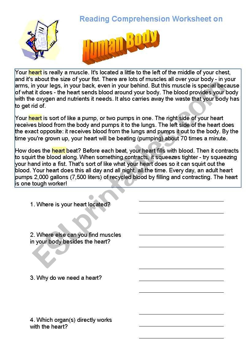 Human Body Comprehension Reading Task ESL Worksheet By Anusiarybek