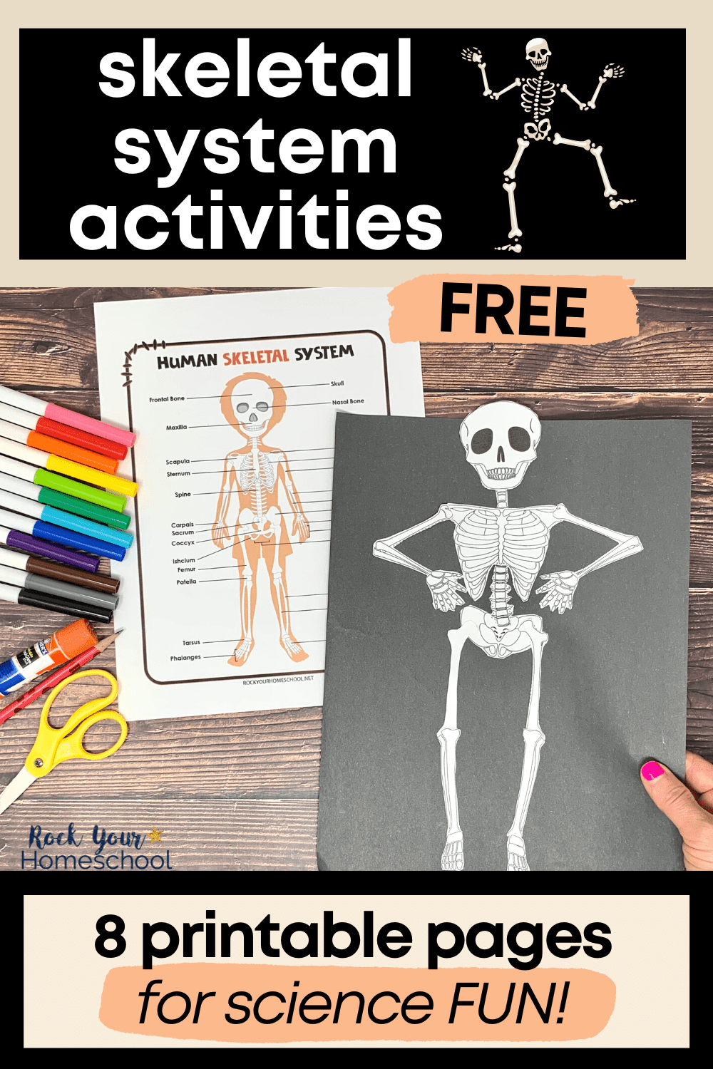 Free Printable Skeleton Worksheets
