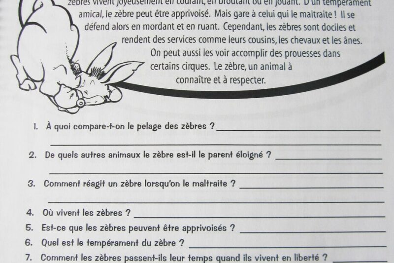 Grade 7 French Reading Comprehension Worksheets
