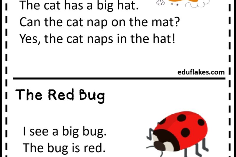 Kindergarten Cvc Reading Comprehension Worksheets Free