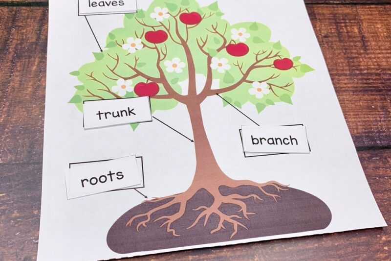 Preschool Tree Book Printable