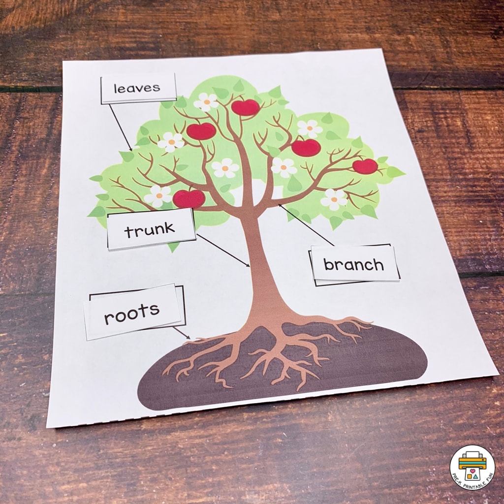Tree Printable Preschool