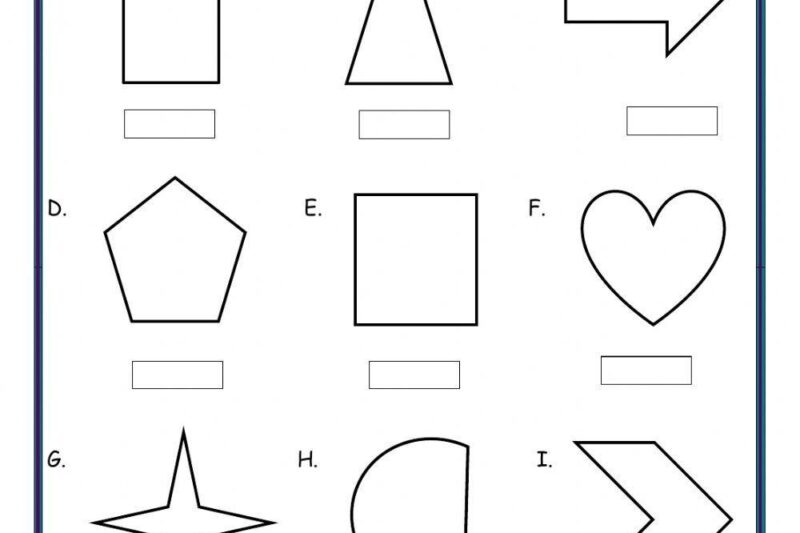 Free Printable Worksheet Lines Of Symetry