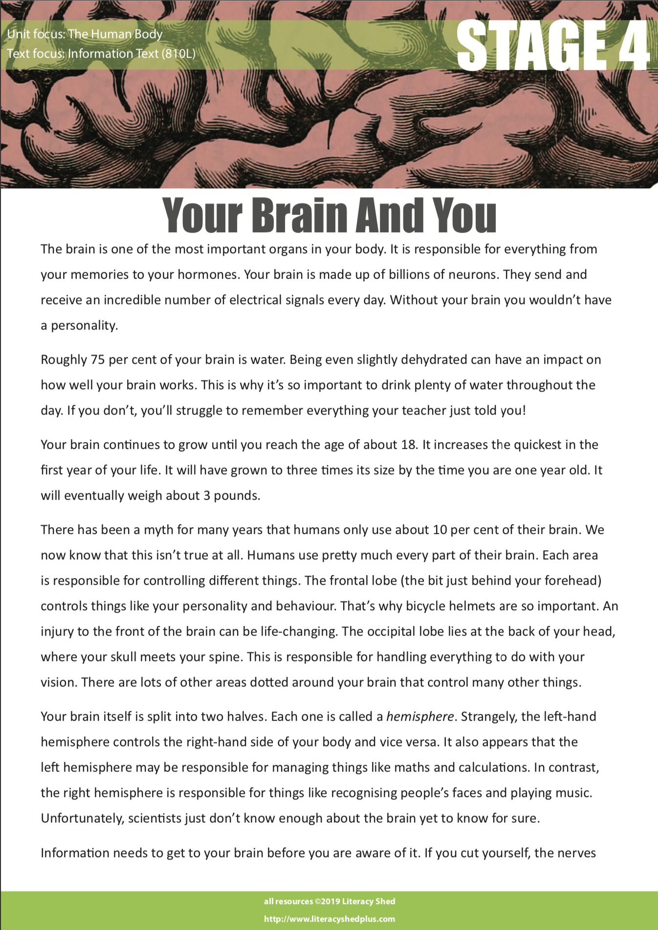 Literacy Shed Plus The Human Body