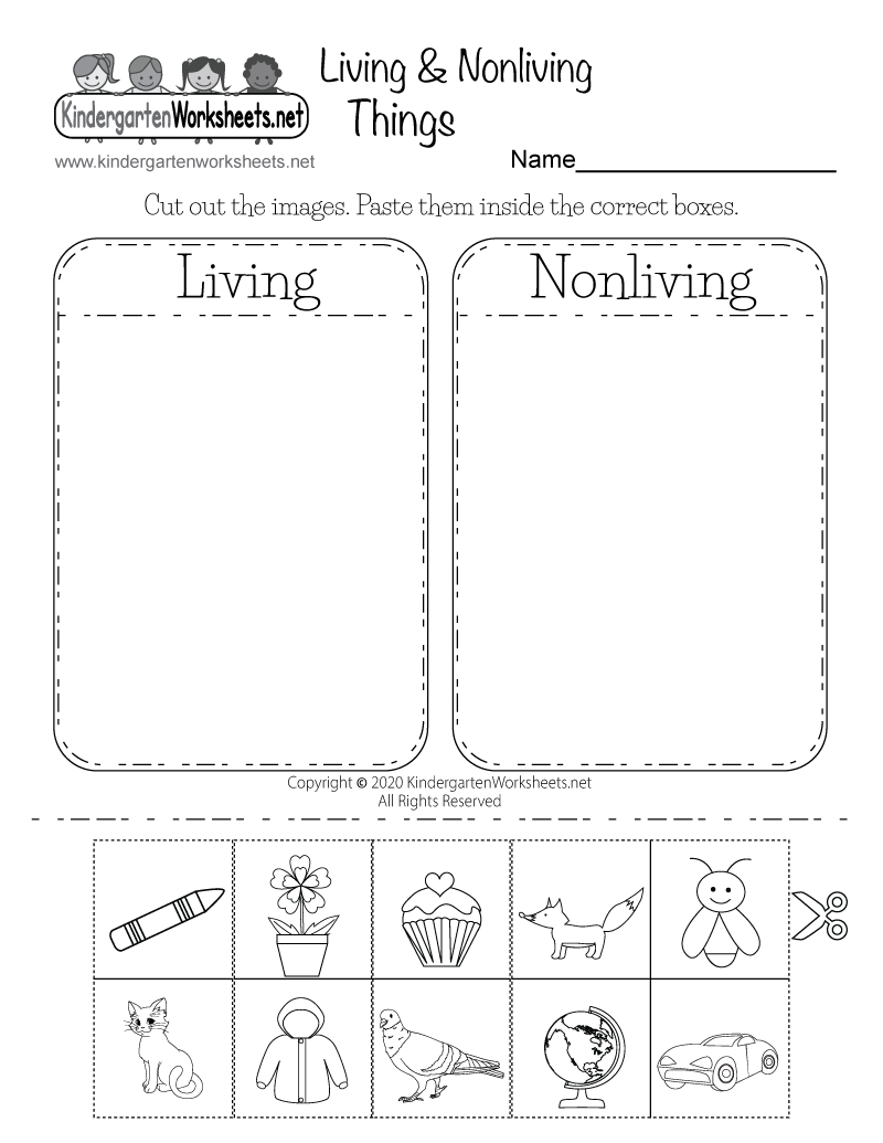 Living And Nonliving Things Worksheet Free Printable Digital U0026 PDF
