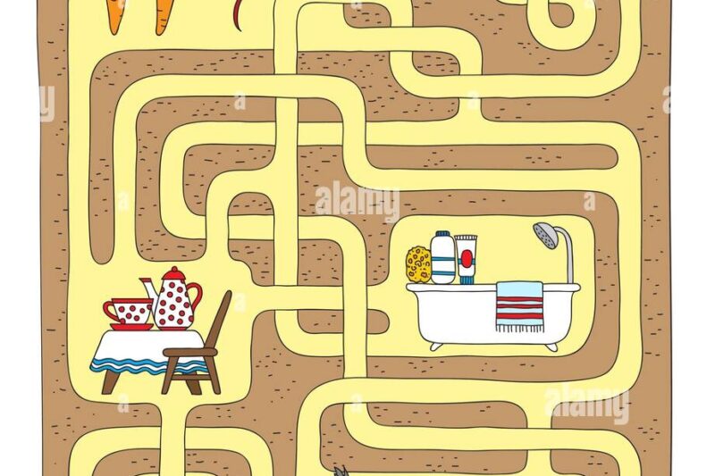 Fun Mole Maze Worksheet Answers