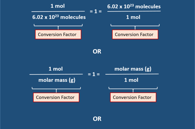 Mole Conversion Maze Worksheet