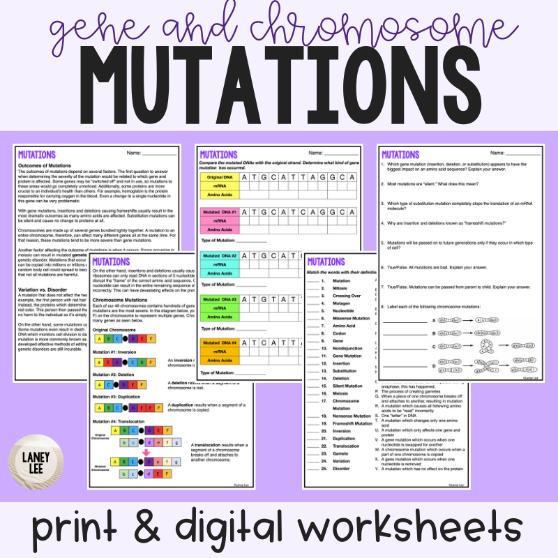 Mutations Reading Comprehension Worksheets Laney Lee Mutations Reading Comprehension Worksheets Laney Lee