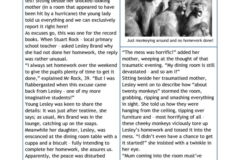 Reading Comprehension Newspaper Article Worksheet