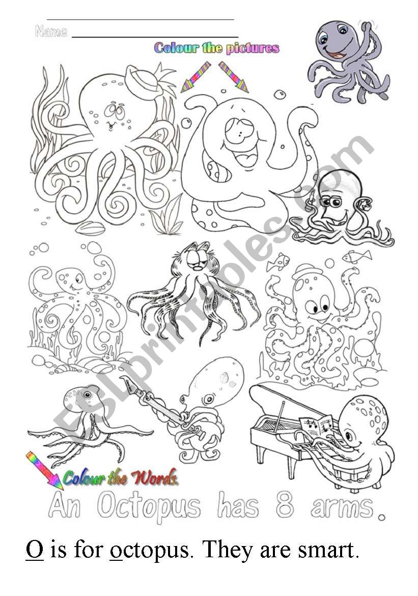 O Is For Octopus ESL Worksheet By Boatabike Mike