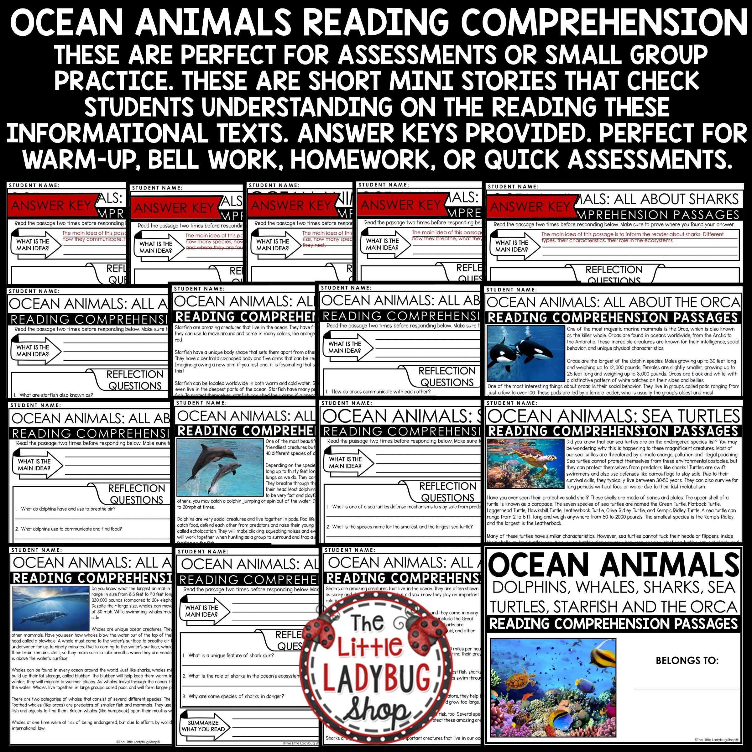 Sea Animals Reading Comprehension Worksheet Sea Animals Reading Comprehension Worksheet