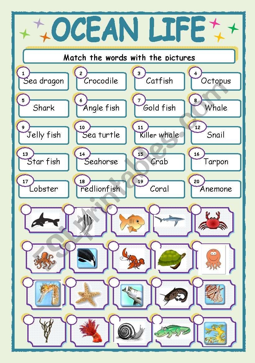 OCEAN LIFE ESL Worksheet By Jhansi