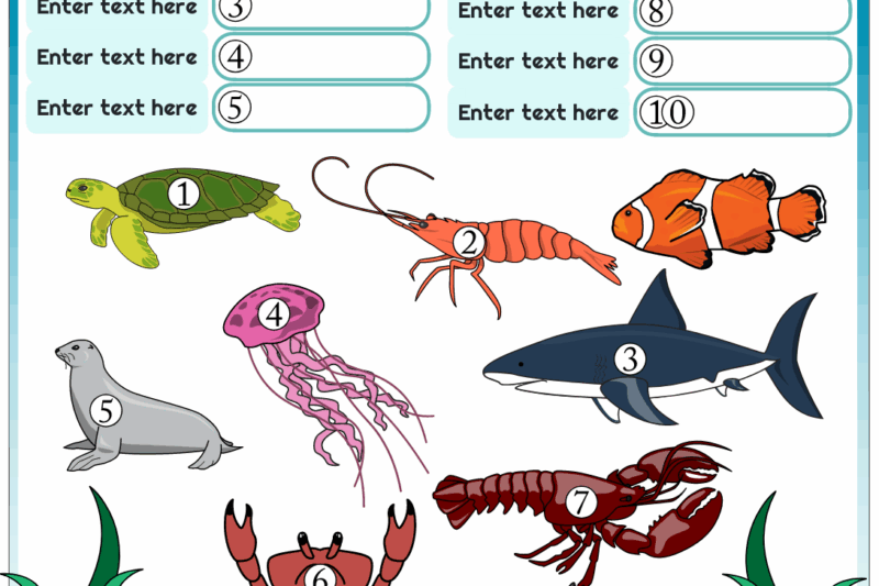 Free Printable Ocean Life Worksheets