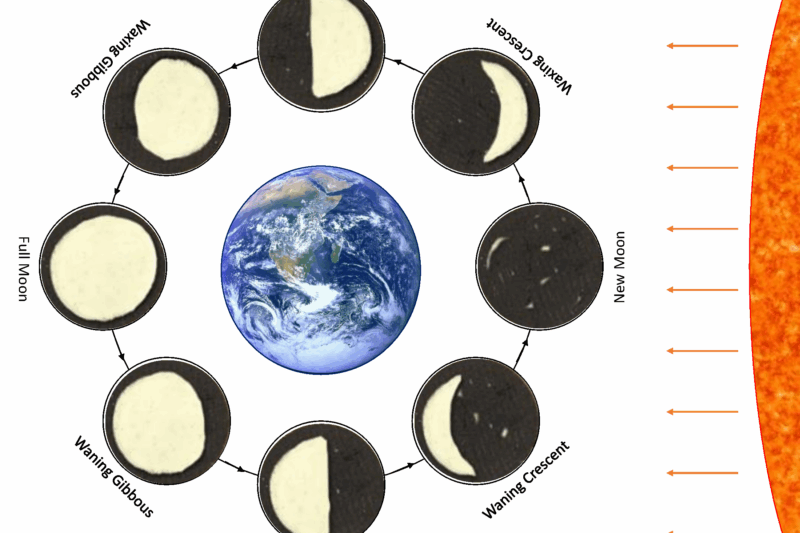 Free Printable Oreo Moon Phases Worksheet
