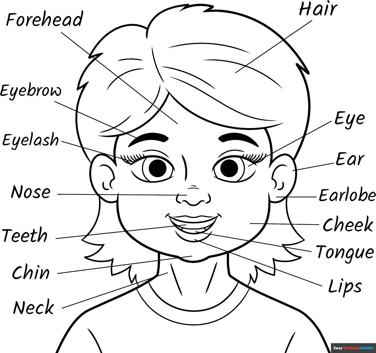 Parts Of The Head For Kids Coloring Page Easy Drawing Guides