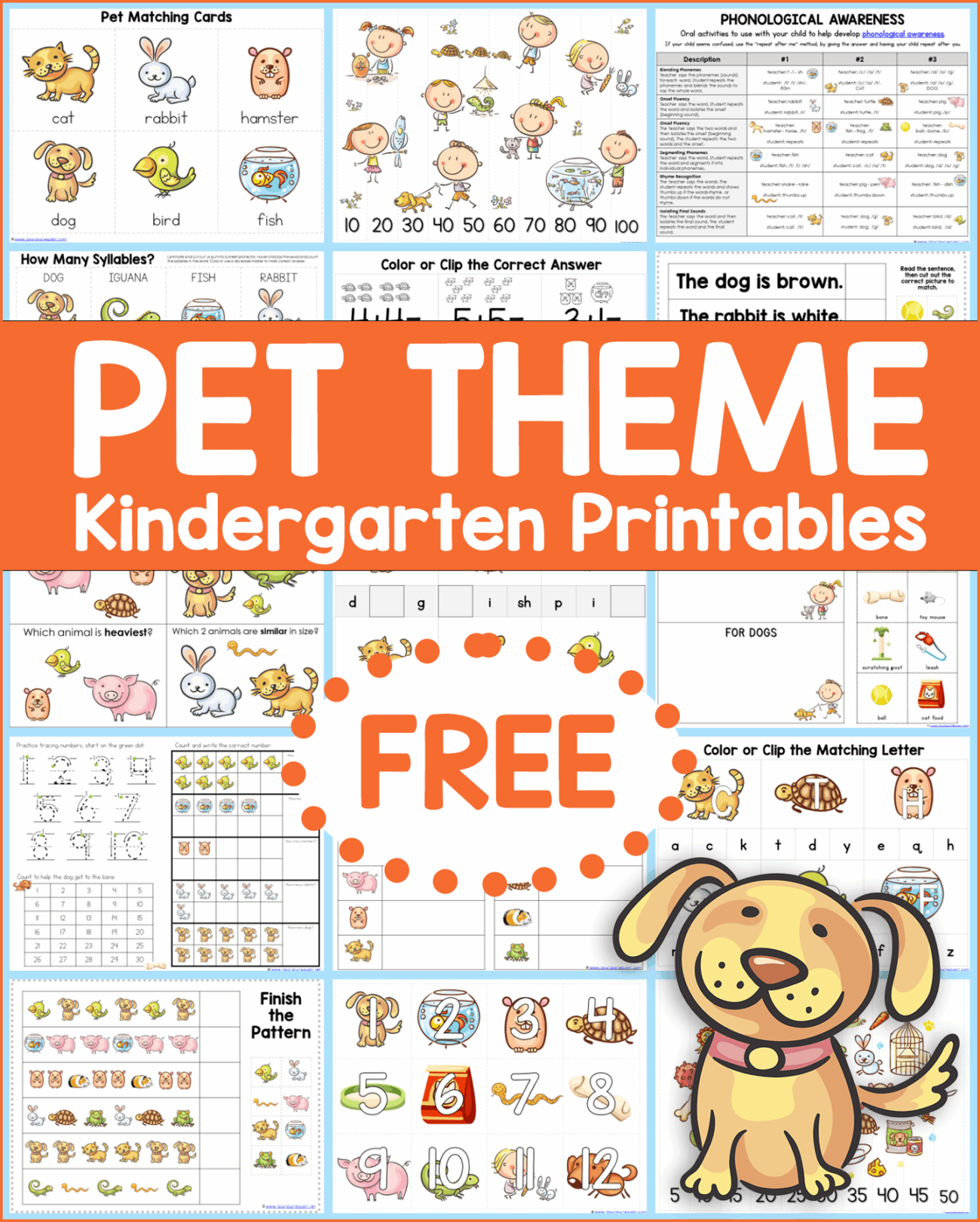 Pet Theme Kindergarten Printables 1 1 1u003d1