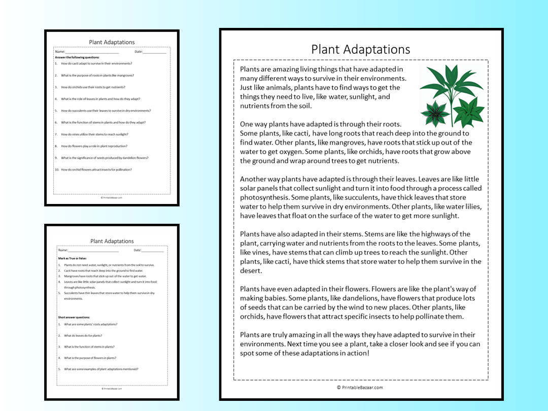 Plant Adaptations Reading Comprehension Passage Printable Worksheet Teaching Resources Plant Adaptations Reading Comprehension Passage Printable Worksheet Teaching Resources