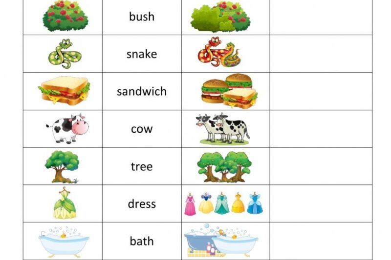 Kindergarten Plural Words Add S Worksheet