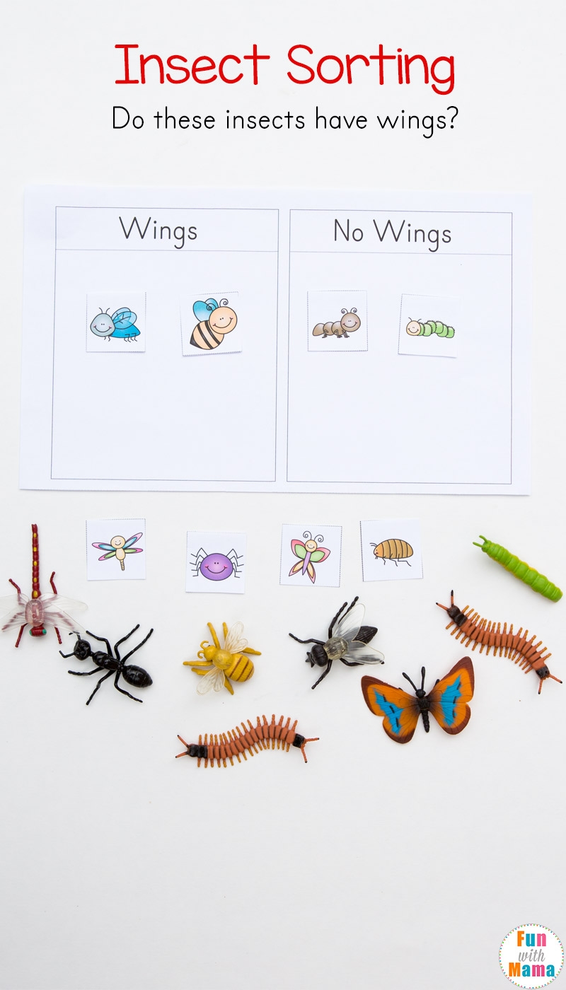 Preschool Insect Theme Sorting Worksheet Bug Activities Fun Worksheets Library