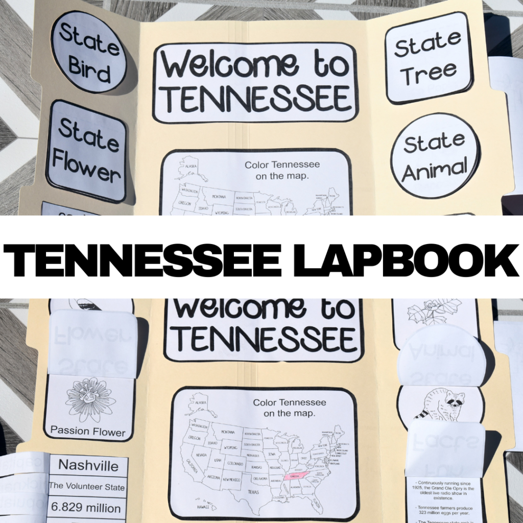 Printable Tennessee Fact File Worksheets For Fun State Learning