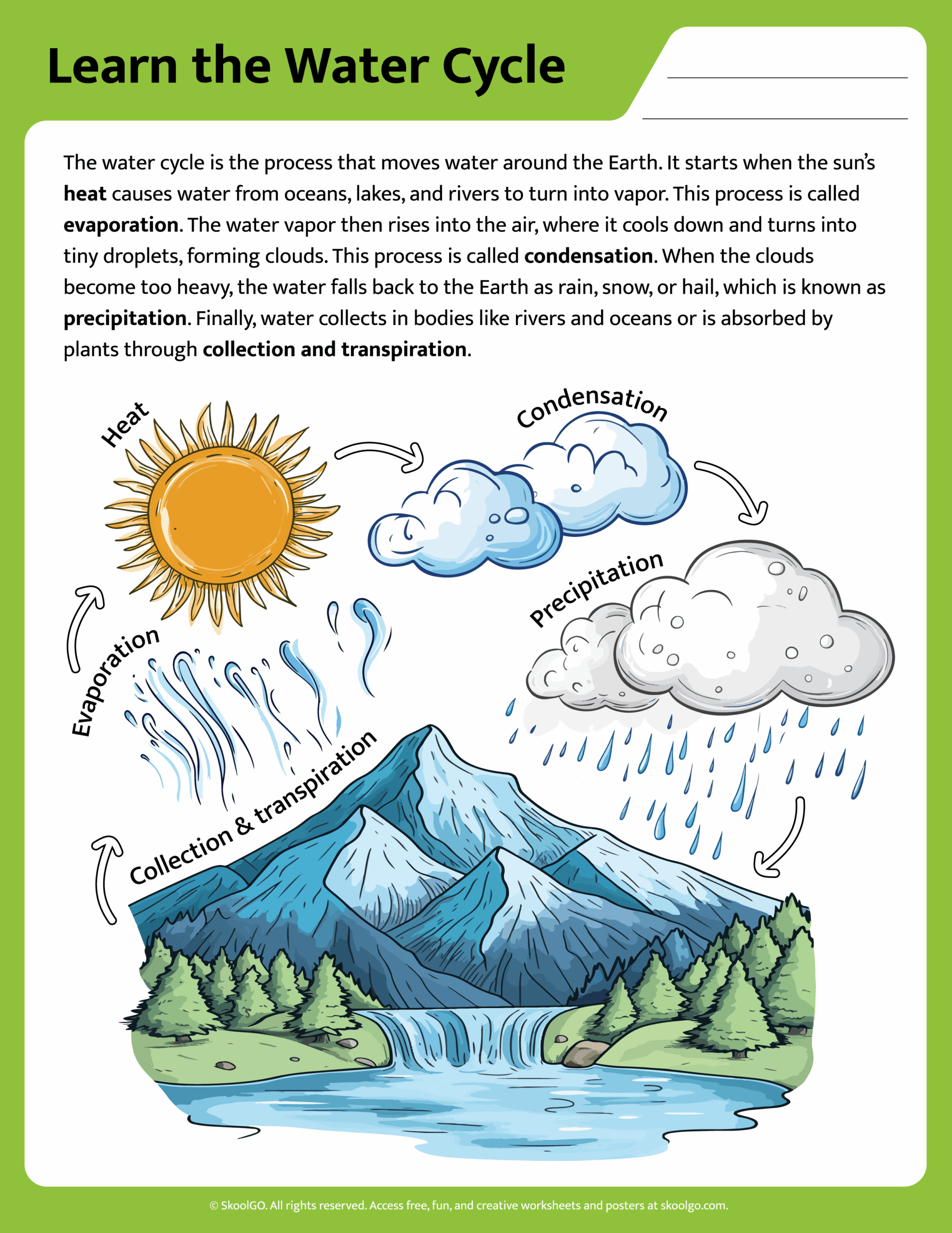Free Printable Water Cycle Worksheets