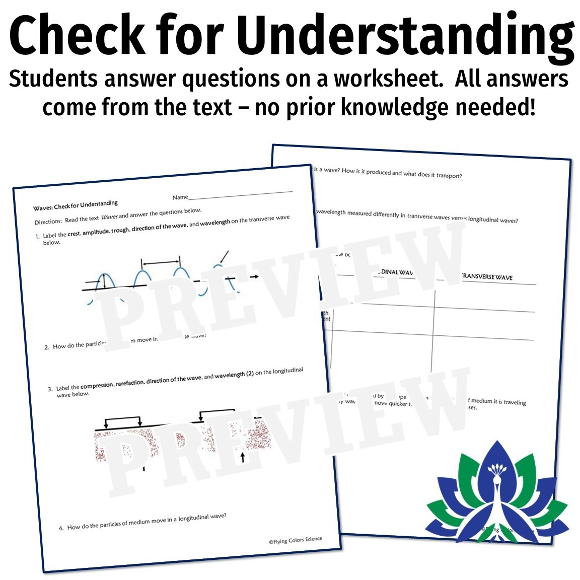 Properties Of Waves Reading With Worksheet Flying Colors Science