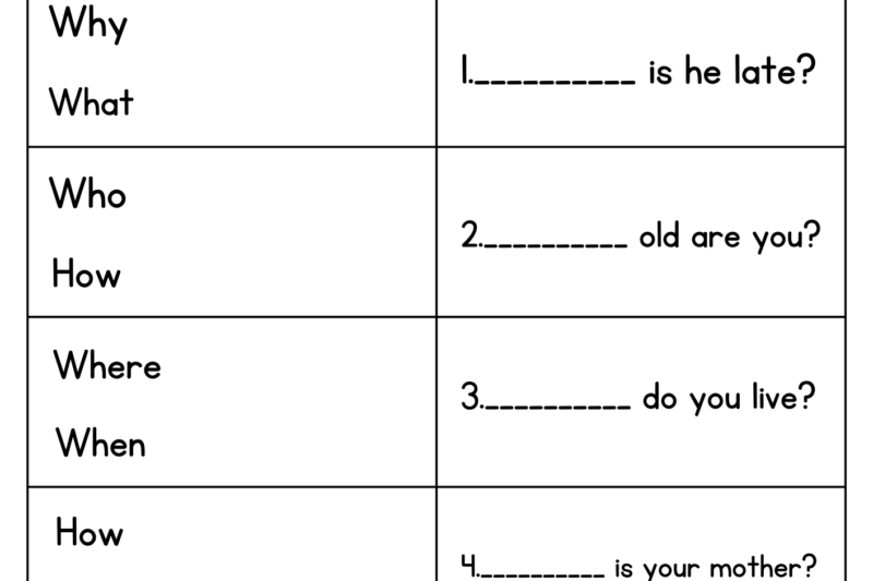 Wh Questions Worksheets Free Printable