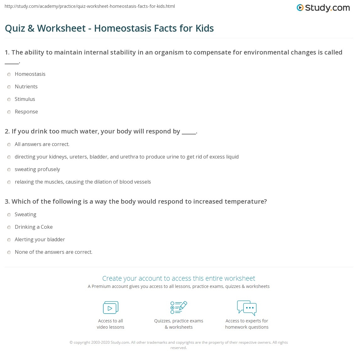Quiz U0026 Worksheet Homeostasis Facts For Kids Study