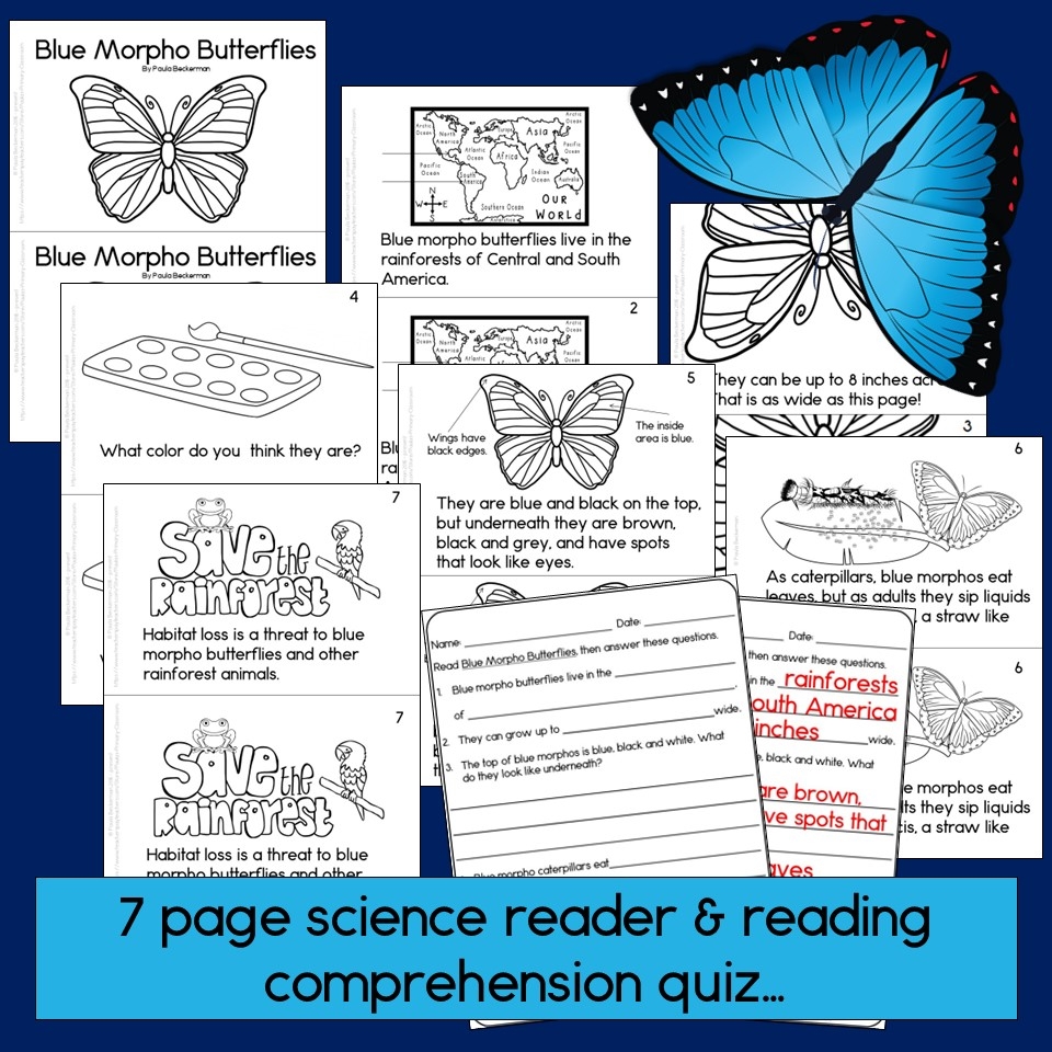 Grade Reading Comprehension Worksheets Butterfly