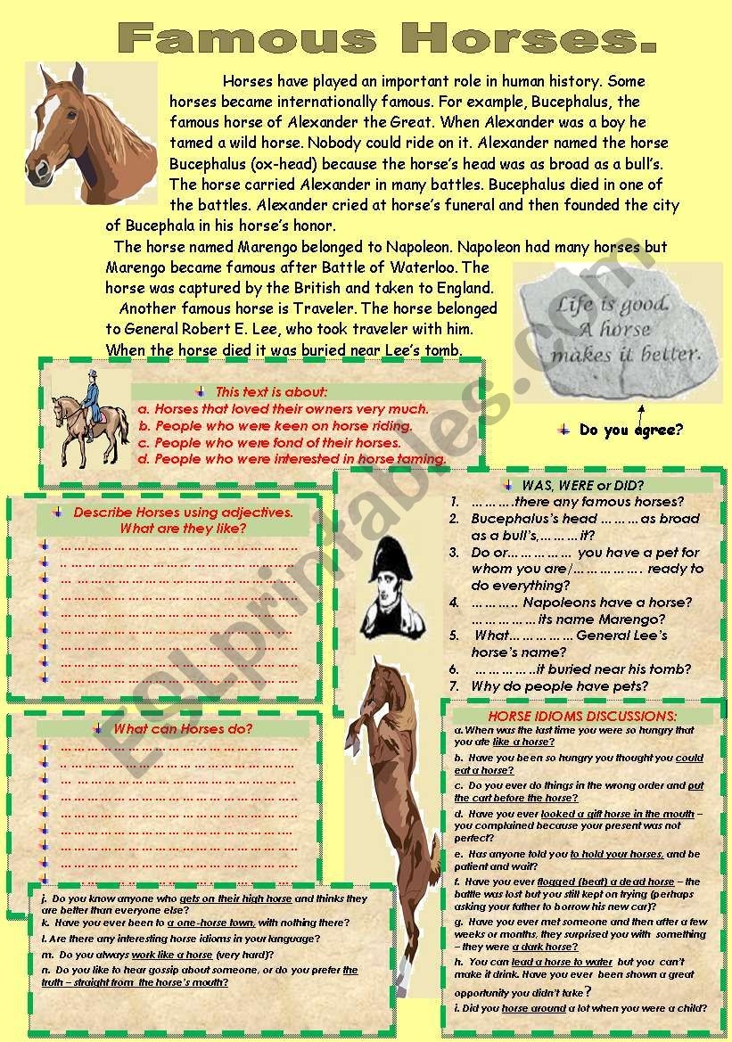READING COMPREHENSION IDIOMS ABOUT HORSES ESL Worksheet By 