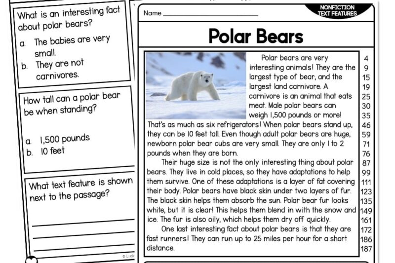 Text Features Reading Comprehension Worksheets