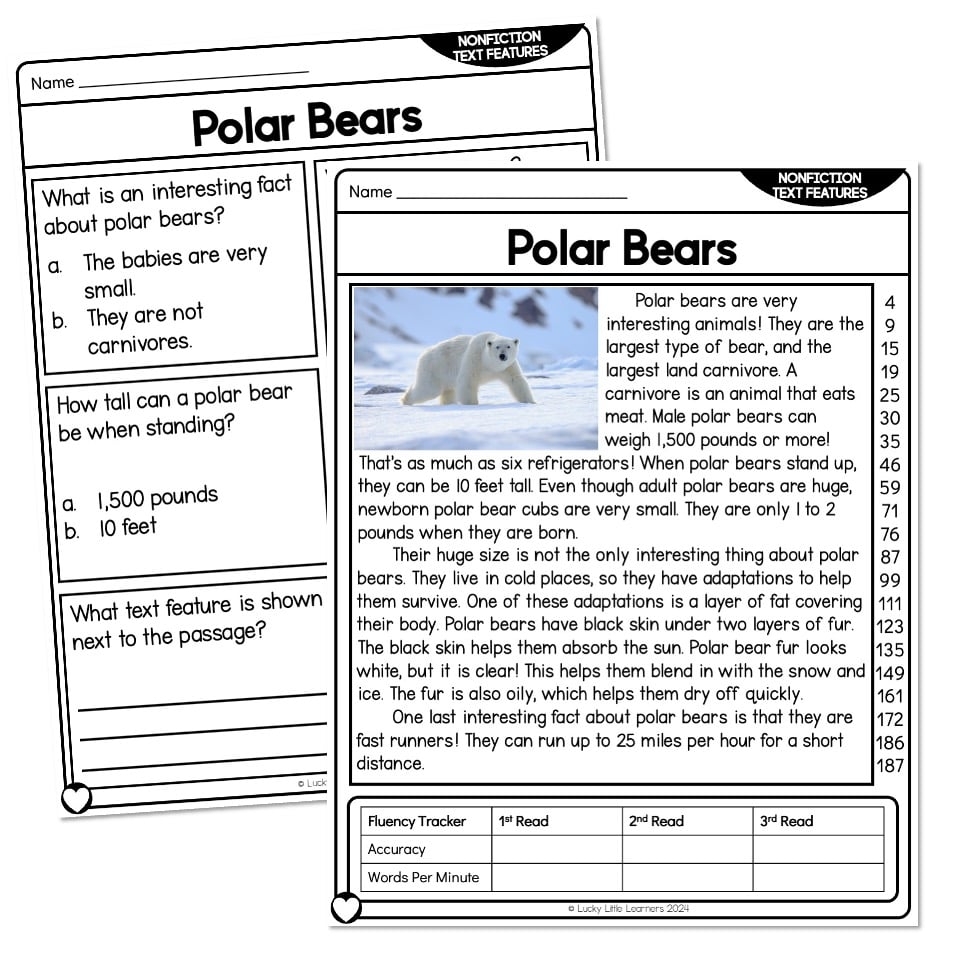 Reading Comprehension Passage Nonfiction Text Features Polar Bears Lucky Little Learners