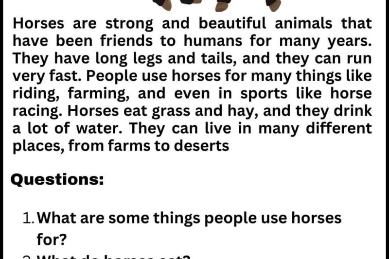Horse Reading Comprehension Worksheets