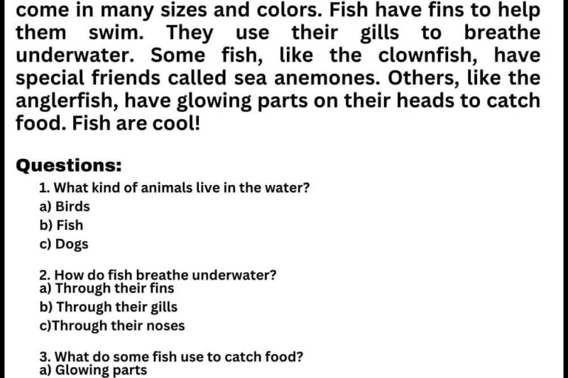 Live Worksheet Reading Comprehension