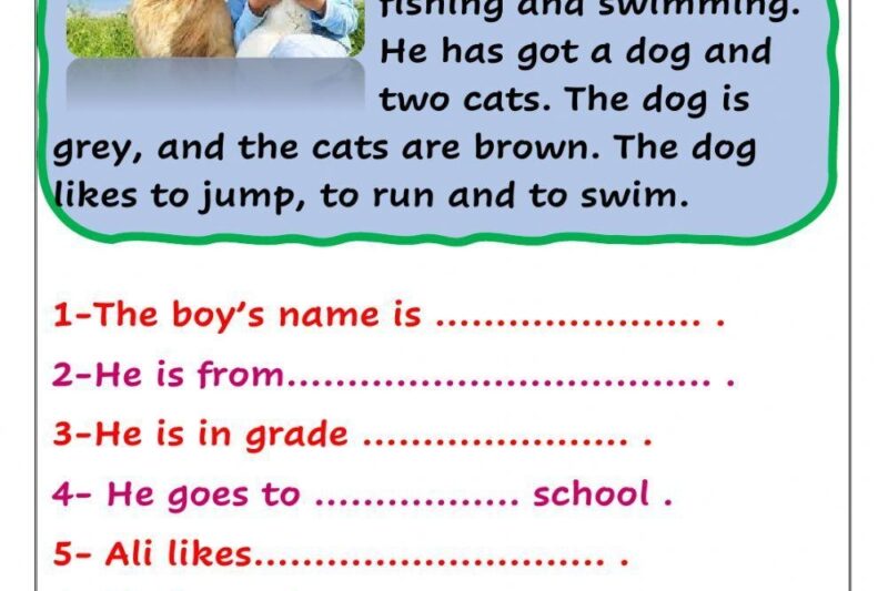 Level 3 Reading Comprehension Worksheets