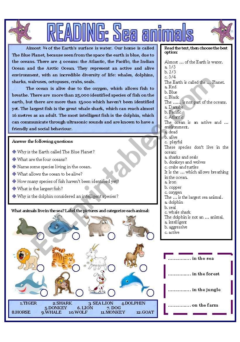READING SEA ANIMALS ESL Worksheet By Domnitza READING SEA ANIMALS ESL Worksheet By Domnitza