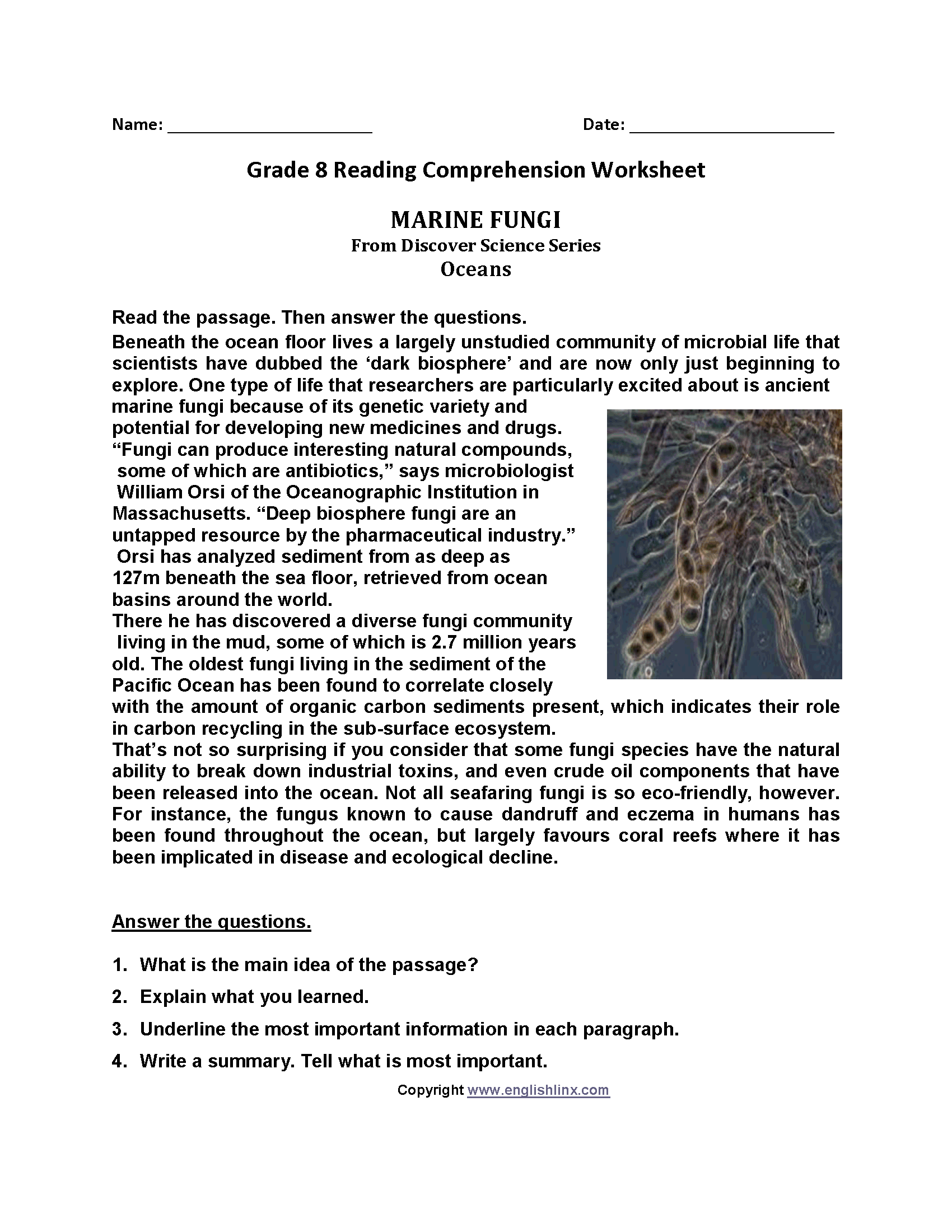 Printable Reading Comprehension Worksheets 8th Grade