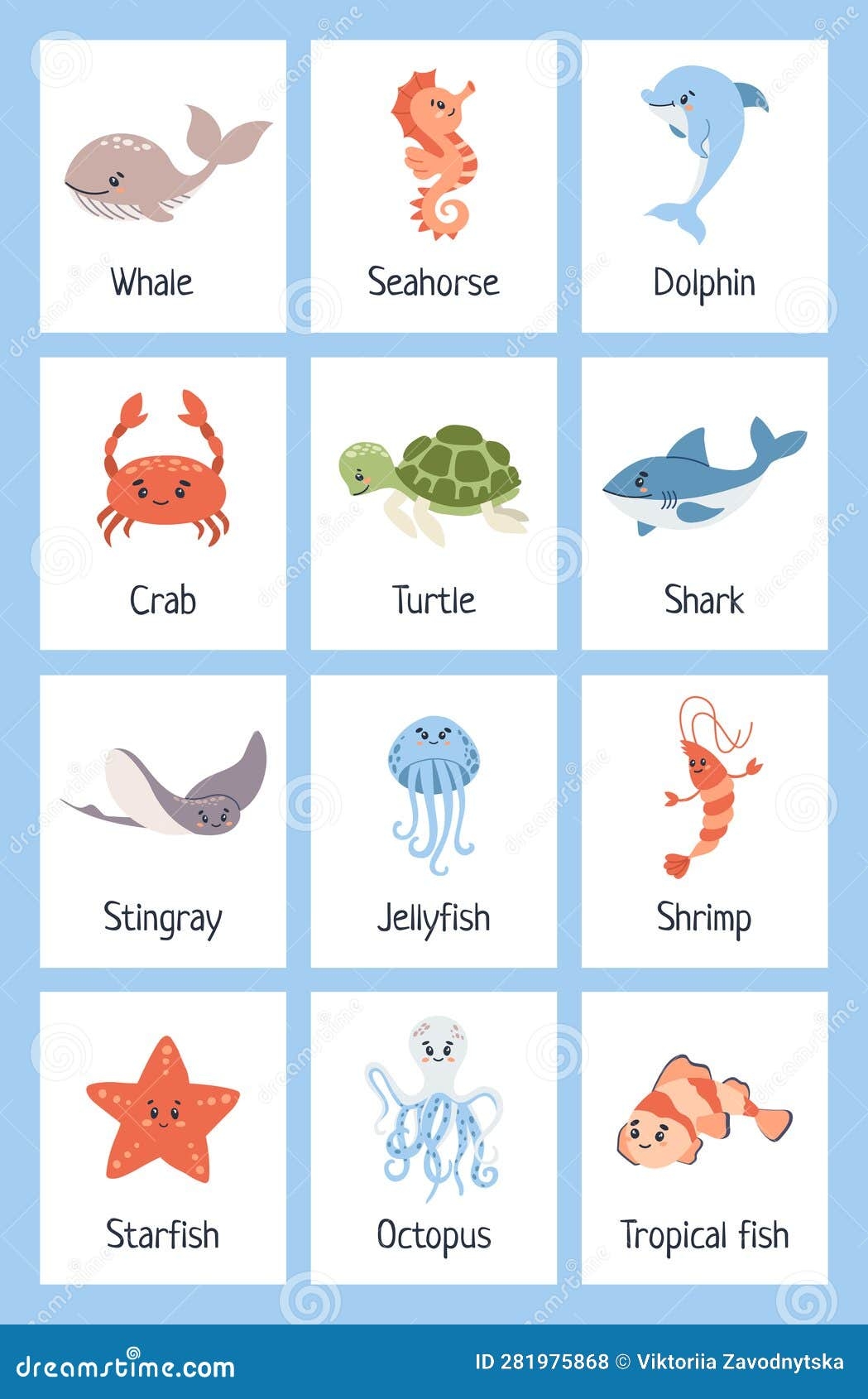 Sea Animal Flashcards Learning Ocean Vocabulary Stock Vector 