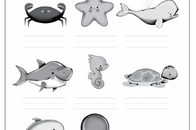 Free Printable Sea Animals Worksheets